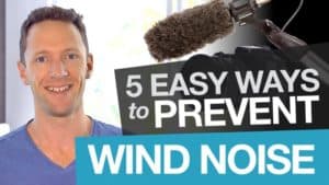 Prevent Wind Noise in Videos: 5 Simple Tips for Shooting in Windy Conditions! - Microphone