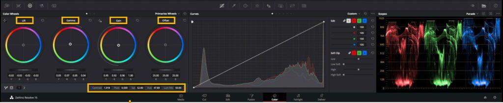 Gamma Gain DaVinci Resolve
