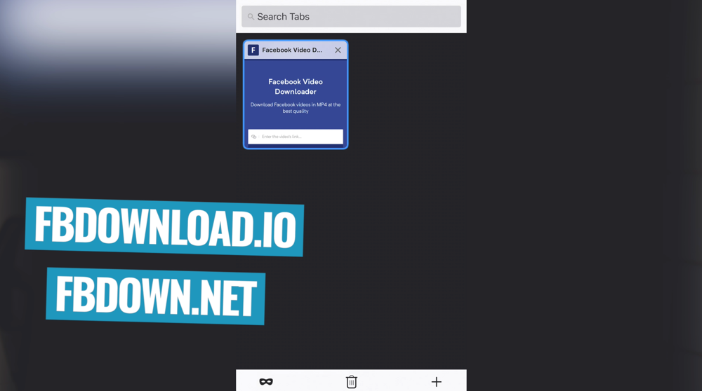 A tab in a browser with a Facebook Video Downloader tool