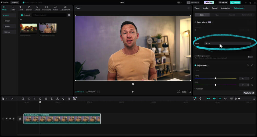 LUTs section under Basic Adjustment in Adobe Premiere Pro