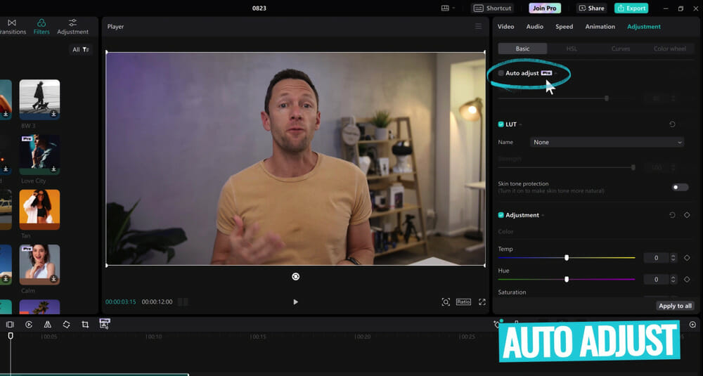 Auto adjust Pro feature of CapCut under Color Adjustment tool section