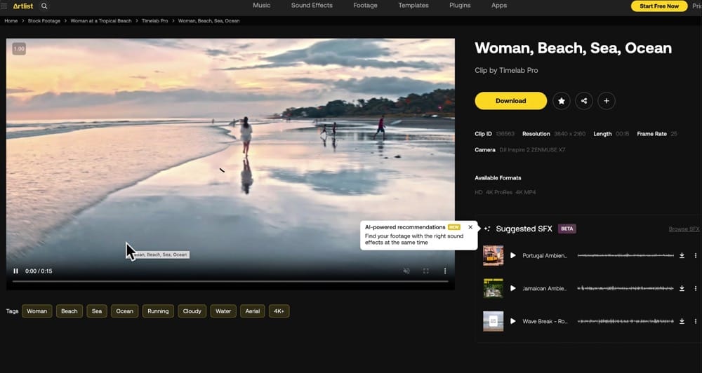'Woman, Beach, Sea, Ocean' clip inside Artlist