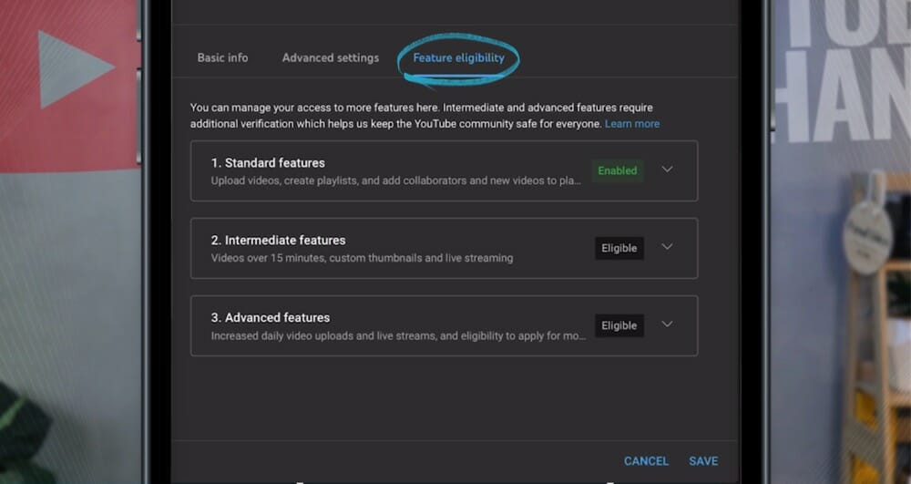 Feature eligibility settings with 3 levels: Standard, Intermediate, and Advanced features